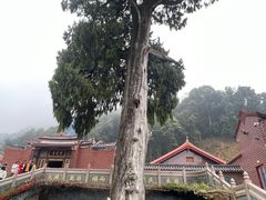 -灵光寺