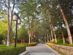 -西海子公园