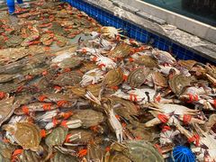 -一方渔歌蒸汽海鲜自助(文化路万达广场店)