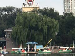-天津水上公园