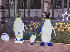 -枫花园汽车电影院(朝阳公园店)