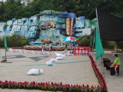 -东方熊牧场