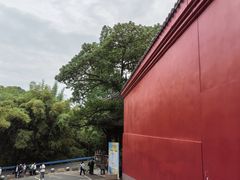 -峨眉山报国寺