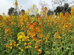 -中国天府农业博览园