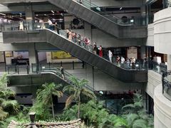 -黑龙江中医药大学附属第一医院