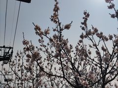 -香山公园