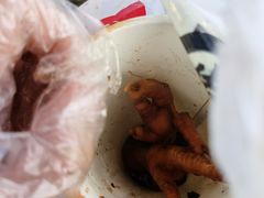 -鸡脚旮旯平江路店