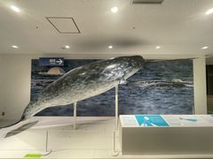-大阪海游馆
