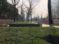 -重庆市江北嘴中央商务区中央公园