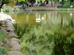 -成都市活水公园