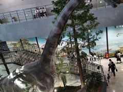 -湖南省地质博物馆