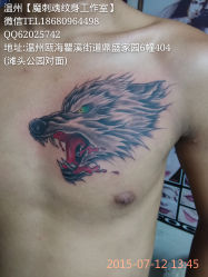 胸部狼头纹身（温州瓯海瞿溪店）-温州魔刺魂纹身