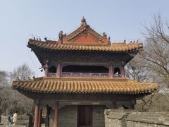 -北陵公园
