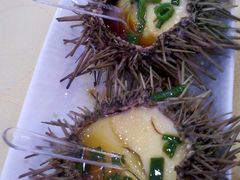 海胆蒸蛋-海岛渔村大酒店(云霄路店)