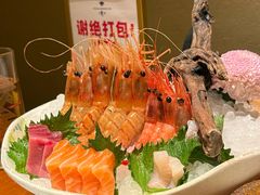 -月龍吟(朝龙汇店)