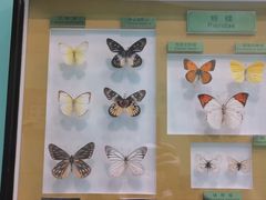 -上海昆虫博物馆