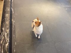 -鸡毛店·川菜(双楠店)