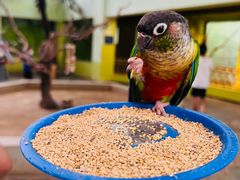 -北京野生动物园