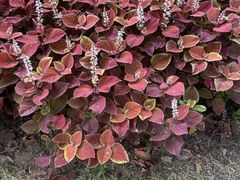 -上海海洋水族馆