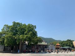 -悦城龙母祖庙