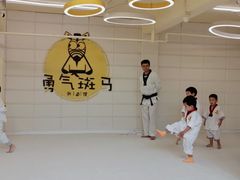 -勇气斑马·巴西柔术&跆拳道(浦东三林店)