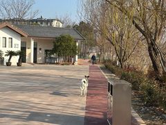 -长兴太湖图影湿地文化园