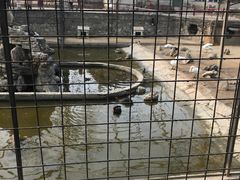 -保定市动物园