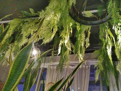 -三个椰子·现砍椰子鸡(金源CBD店)