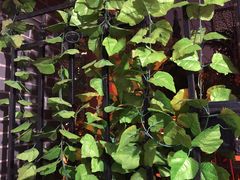 景观位-做了不起的80后