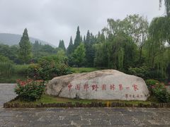 -习家池