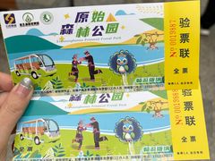 -西双版纳原始森林公园