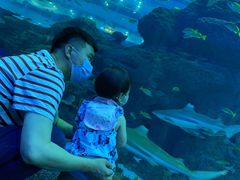 -成都浩海立方海洋公园