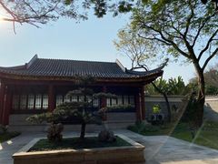 -顺峰山公园