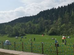 -武陵山森林公园