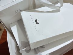 -BLACKSWAN黑天鹅(环球店)