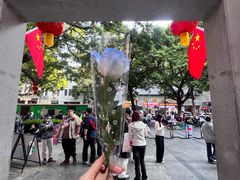 -越秀西湖花市(广州城市广场花卉店)