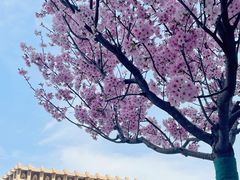 -宝通禅寺