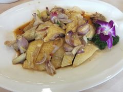 彩凤报喜葱油鸡-和乐喜宴海鲜酒家(骏荣广场店)