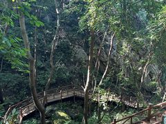 -大岭沟猕猴桃谷风景区