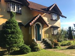 -黄色小屋