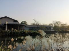 -木守西溪溪隐餐厅