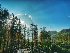 -广州市石门国家森林公园