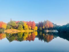 -尚贤河湿地