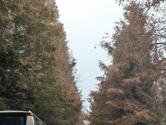 -山王坪喀斯特国家生态公园