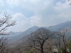 -泰山风景名胜区