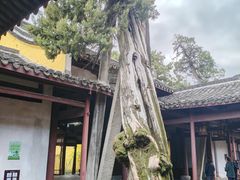 -太平天国侍王府