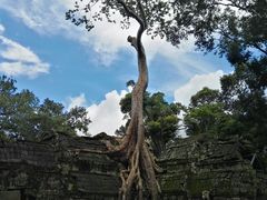 -吴哥国家博物馆