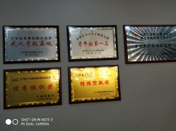 -单色舞蹈