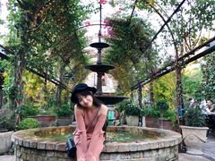 -The Grounds of Alexandria