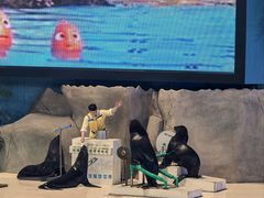 -泉城欧乐堡海洋极地世界